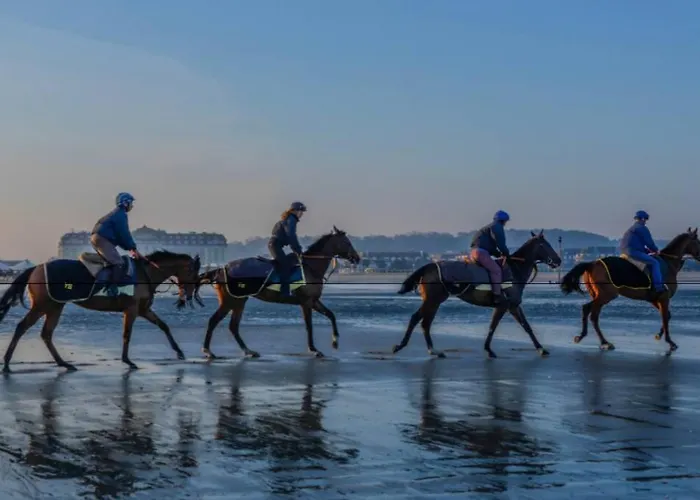 Fabuleux 2/3 Pieces Refait A Neuf *